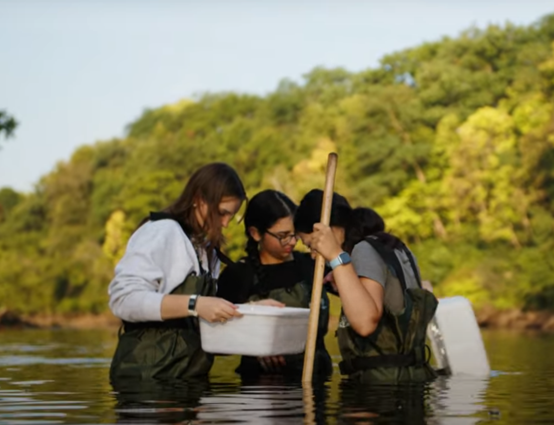 Screenshot 2024-11-26 095727