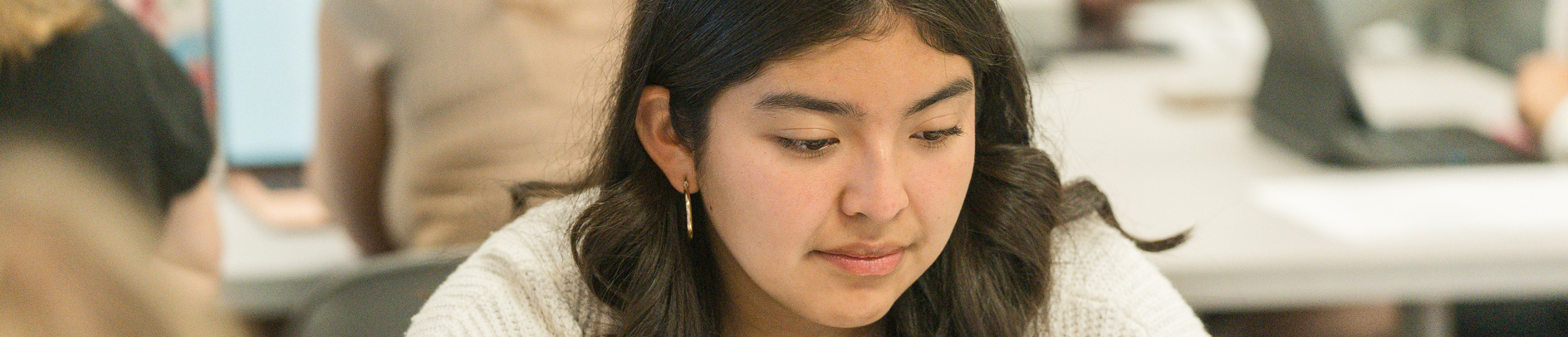 library banner to be used on desktop devices/correct height for logo.